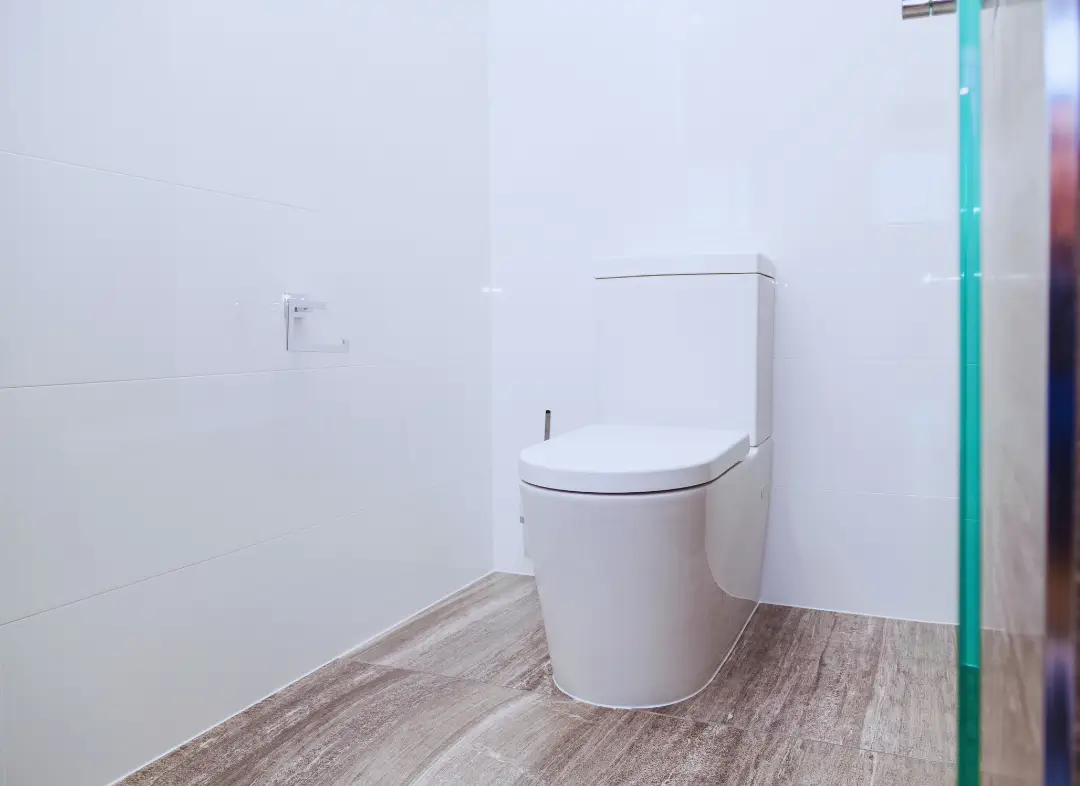 Remplacement de wc Saint-Pierre-en-Faucigny