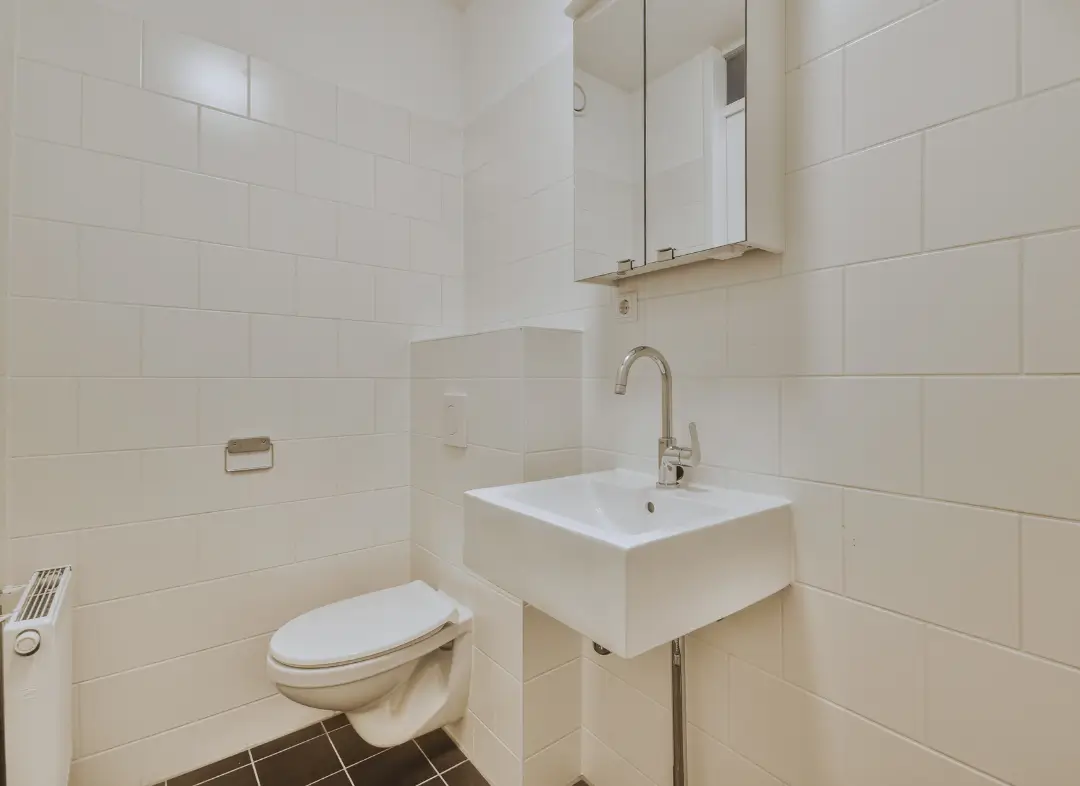 Pose WC Suspendu Saint-Pierre-en-Faucigny